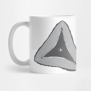 Diatom - Ditylum - Artwork Mug